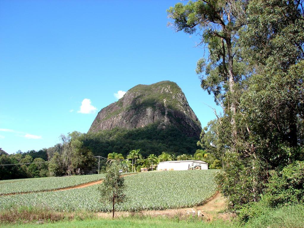 Glass House Mountains Ecolodge 외부 사진